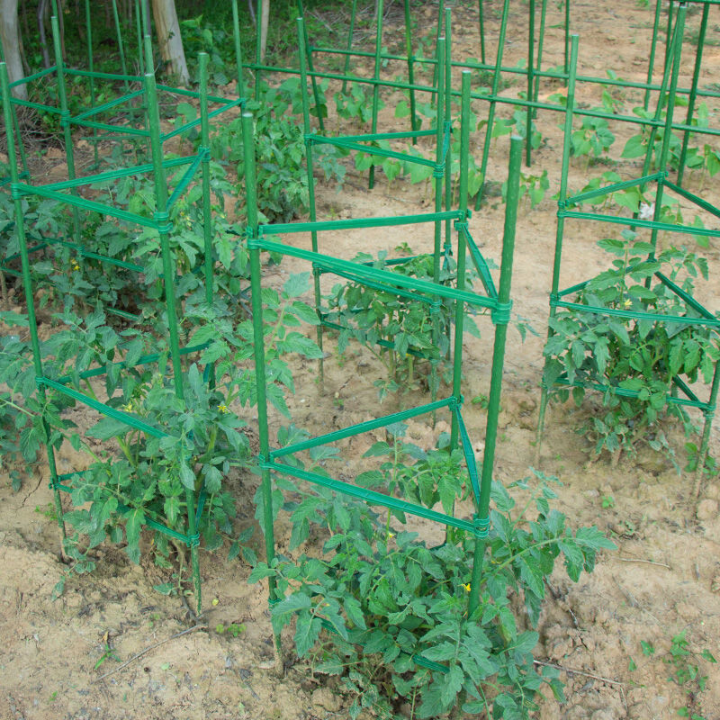 為豐收護(hù)航 定制金屬包塑番茄架，打造耐候耐銹的種植好幫手