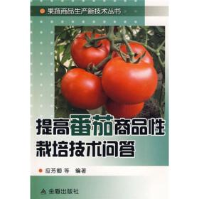 線上淘書與線下尋寶 高新區(qū)郭郭書店、孔夫子舊書網(wǎng)與番茄架的文化圖景
